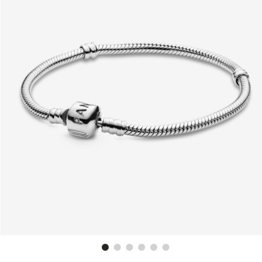 Pandora snakechain bracelet